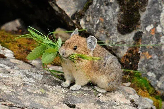 시대인재 수학 복습영상 복영 동보 구해요